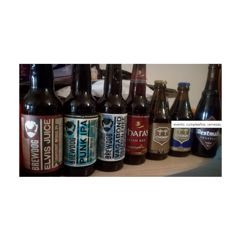 cata degustacion cervezas internacionales diferentes marcas
