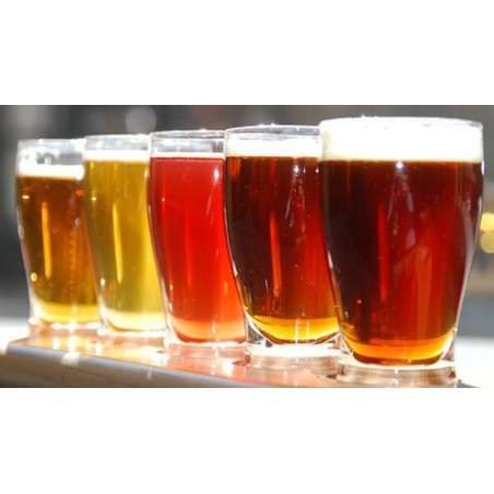 cata de cerveza en Murcia