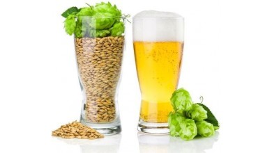Cerveza  y Salud