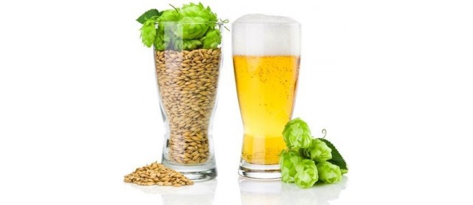 Cerveza  y Salud